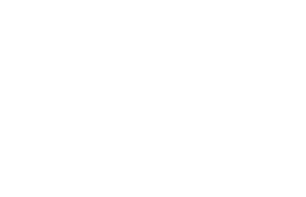 Logo Aurora